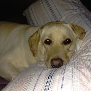 Meet your Posher, Cathy